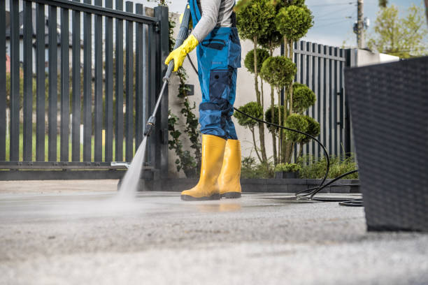 Best Pressure Washing Patio  in Robins, IA