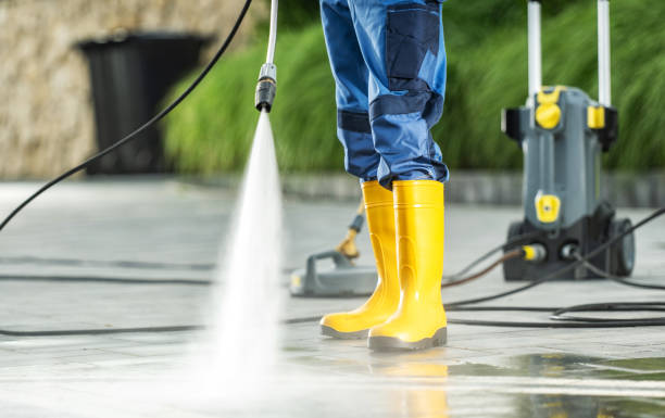 Best Affordable Pressure Washing  in Robins, IA