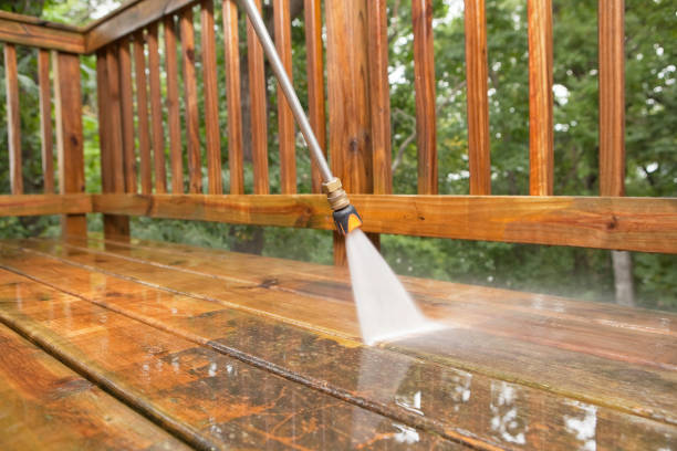 Best Deck Cleaning Services  in Robins, IA