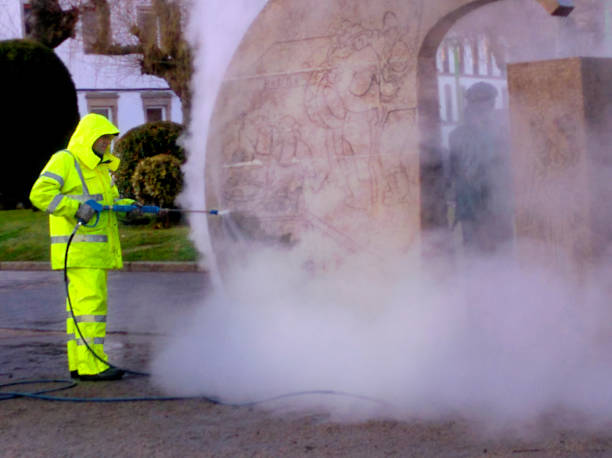 Best Roof Power Washing Services  in Robins, IA