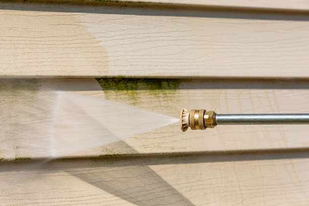 Best Exterior Home Cleaning  in Robins, IA