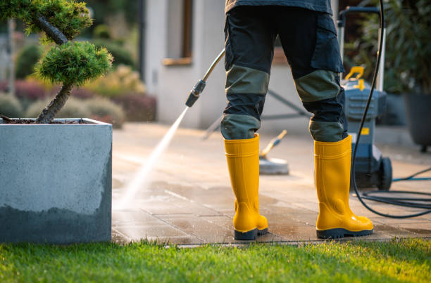 Best Pressure Washing Company Near Me  in Robins, IA